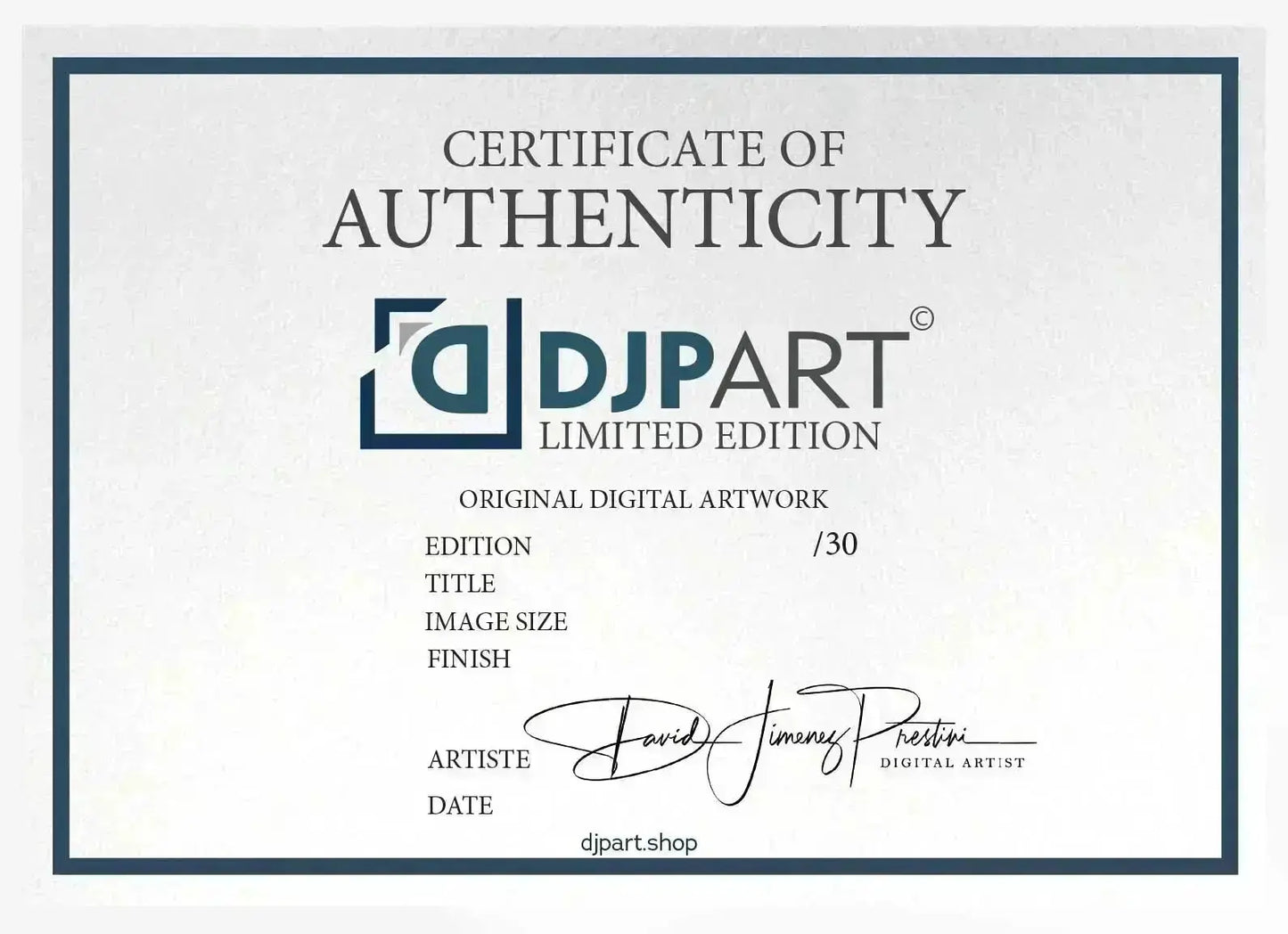 Certificate of Authenticity - DJPART SHOP